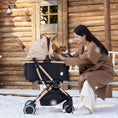 Load image into Gallery viewer, Classic Pet Stroller-KNIGHT