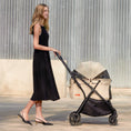 Load image into Gallery viewer, Gravity Folding Pet Stroller - NEWTON