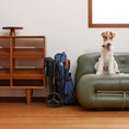 Load image into Gallery viewer, One-Touch SyncFold Pet Stroller - MILOU
