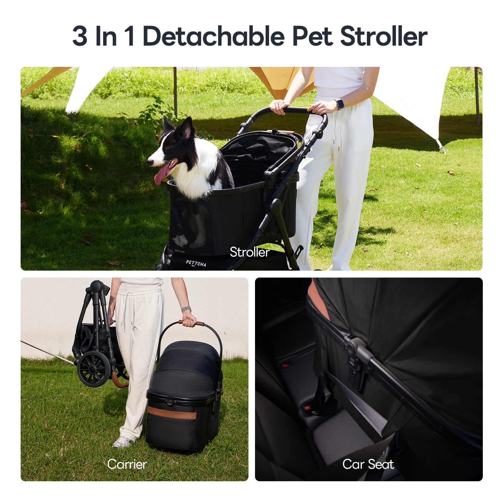 Lightweight Foldable Pet Stroller for Medium-Sized Dogs -TERRA