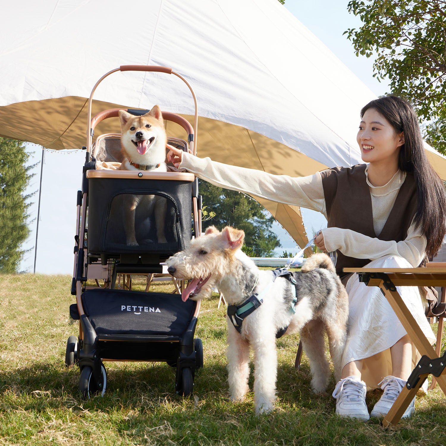 Classic Pet Stroller-KNIGHT