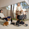 Load image into Gallery viewer, Classic Pet Stroller-KNIGHT
