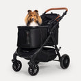 Load image into Gallery viewer, Lightweight Foldable Pet Stroller for Medium-Sized Dogs -TERRA
